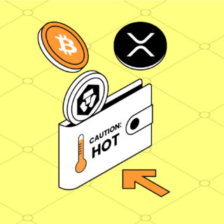 What is a Hot Wallet (Plus Security Tips)
