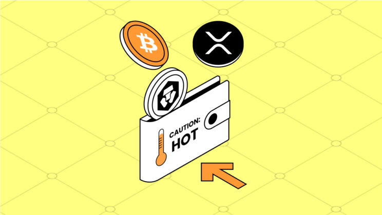 What is a Hot Wallet (Plus Security Tips)